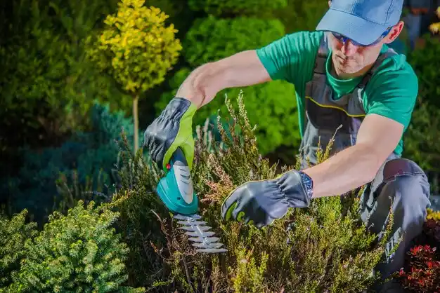 landscaping services Galion